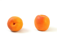 Prunus armeniaca Aprikosen