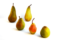 Pyrus Birnen