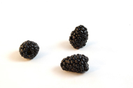Rubus fruticosus Brombeeren