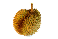 Durio Durian