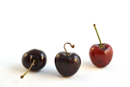 Prunus Kirsche