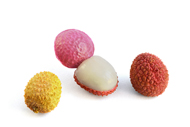 Litchi chinensis Lychee