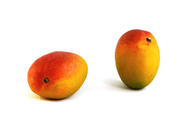 Mangifera indica Mango