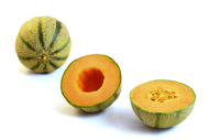 Cucumis melo Melone