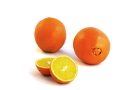 Citrus Orange