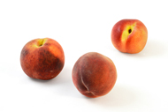 Prunus persica Pfirsich