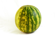 Citrullus lanatus Wassermelone