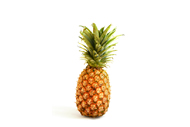 Ananas comosus Ananas