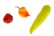 Capsicum Chilischoten