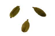 Elettaria cardamomum Kardamon