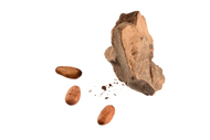 Theobroma cacao Schokolade
