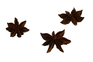 Illicium verum Sternanis