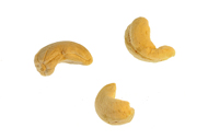 Anacardium occidentale Cashew-Nüsse