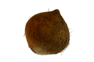 Cocos nucifera Kokosnuss