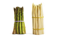 Asparagus officinalis Gemüsespargel