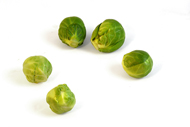 Brassica oleracea Rosenkohl