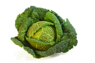 Brassica oleracea Wirsing