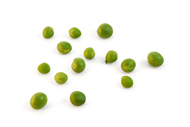 Pisum sativum Erbsen