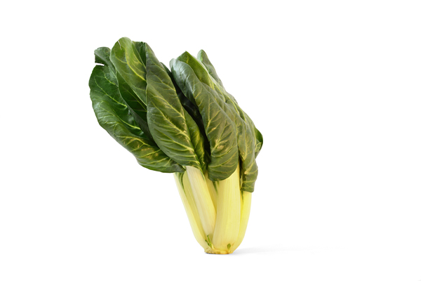 Beta vulgaris subsp. cicla Mangold