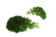 Brassica oleracea acephala